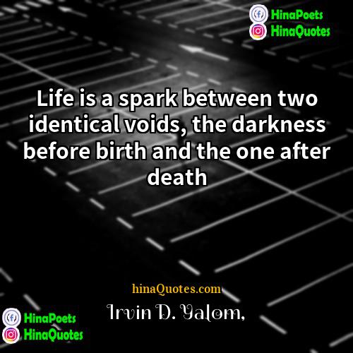 Irvin D Yalom Quotes | Life is a spark between two identical